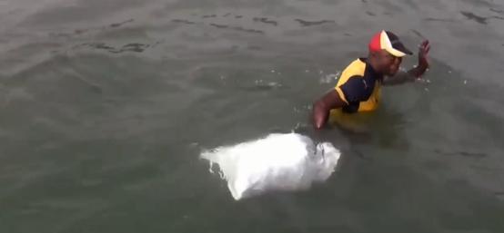 非洲人的捕鱼绝技，一天能捕7吨鱼，出海全凭肉眼找鱼