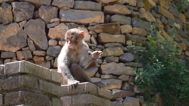 长治市旅游集散中心,山西长治通天峡风景区门票多少钱