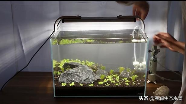 ada石景缸贵吗,ada35小缸造景