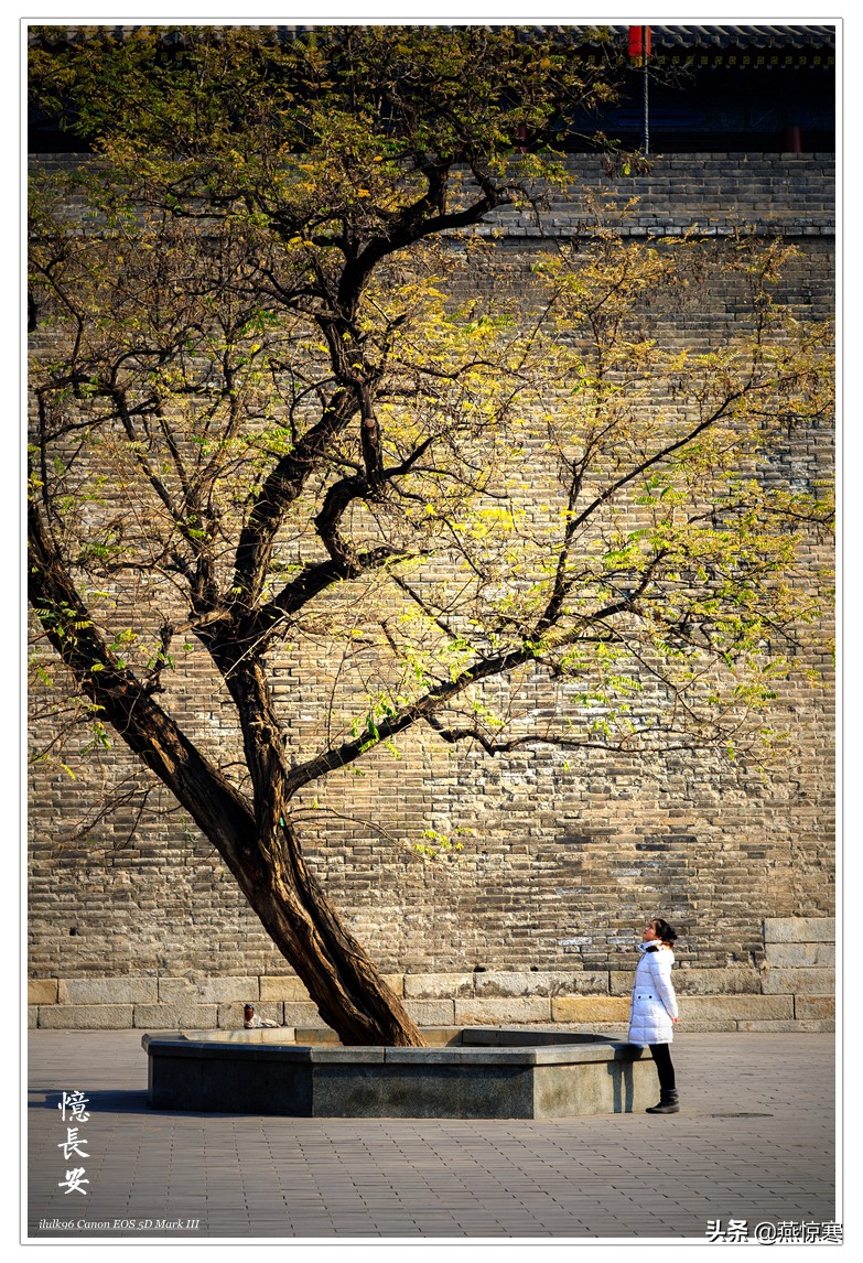 佳能rf24-702.8镜头,推荐几款佳能相机和镜头