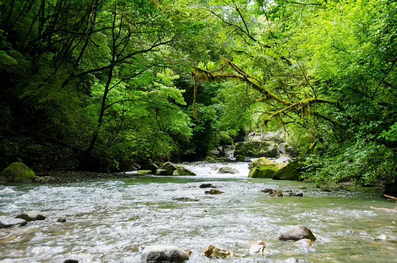 成都大丰周边哪有耍水好去处,成都周边耍水一日游崇州