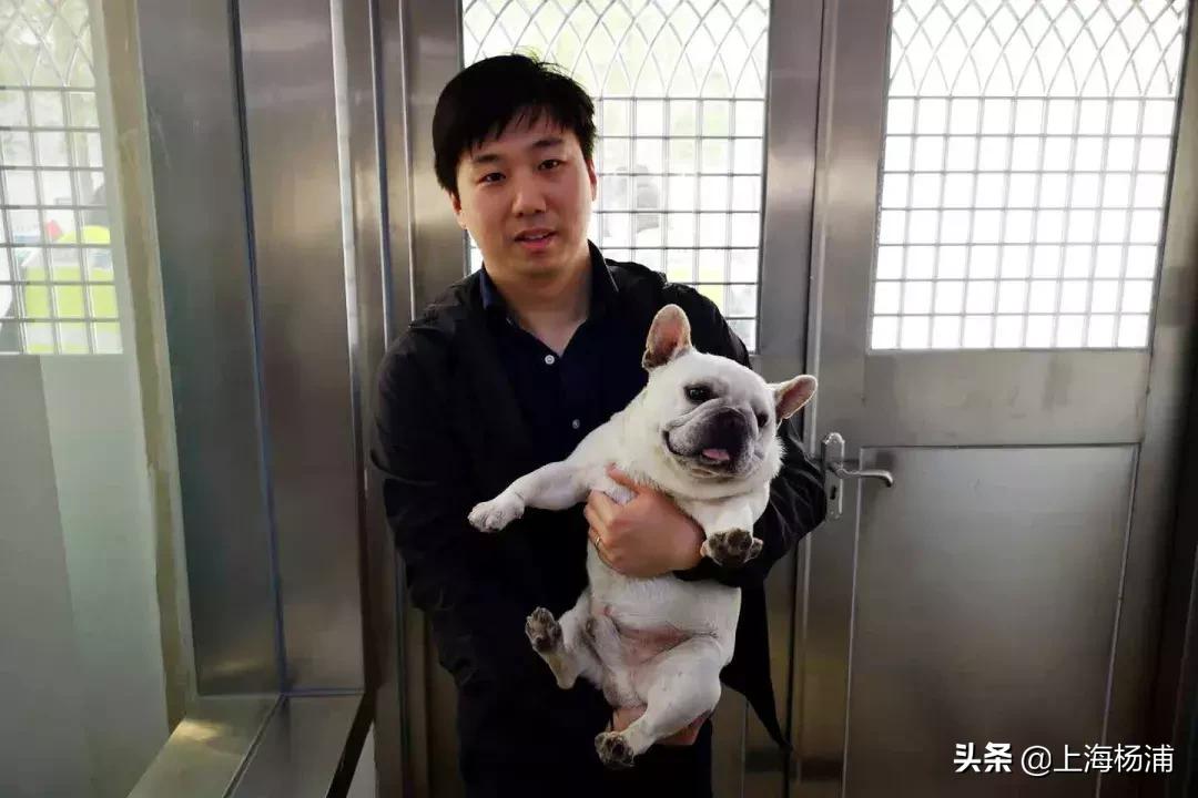 狗狗迷路自己跑进派出所报案,宠物狗狗报警