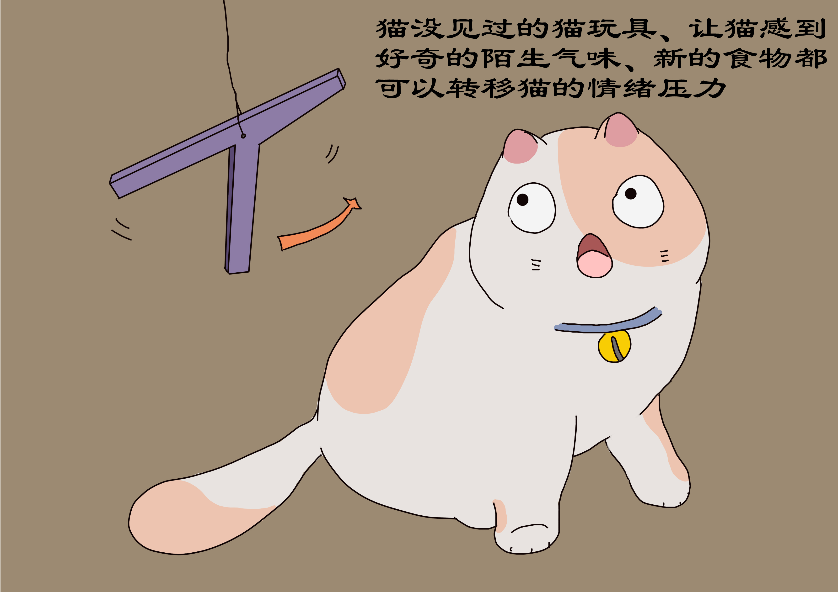 猫生气安抚猫咪情绪,猫生气了怎么哄猫咪开心