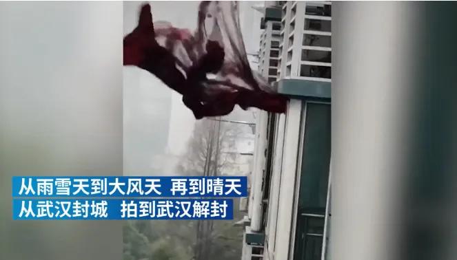 网红窗帘第一集,网红窗帘连续剧谁拍的