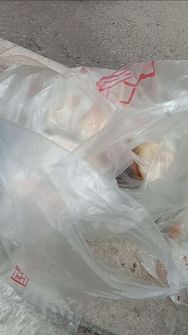 甘谷金山农民作家张志刚,甘谷徒步张志刚