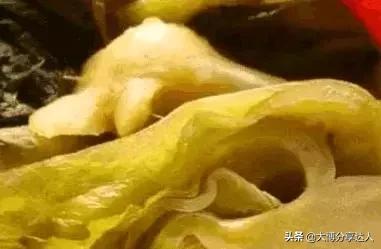 东北酸菜的家常菜做法大全集视频,酸菜的6种家常做法开胃又下饭