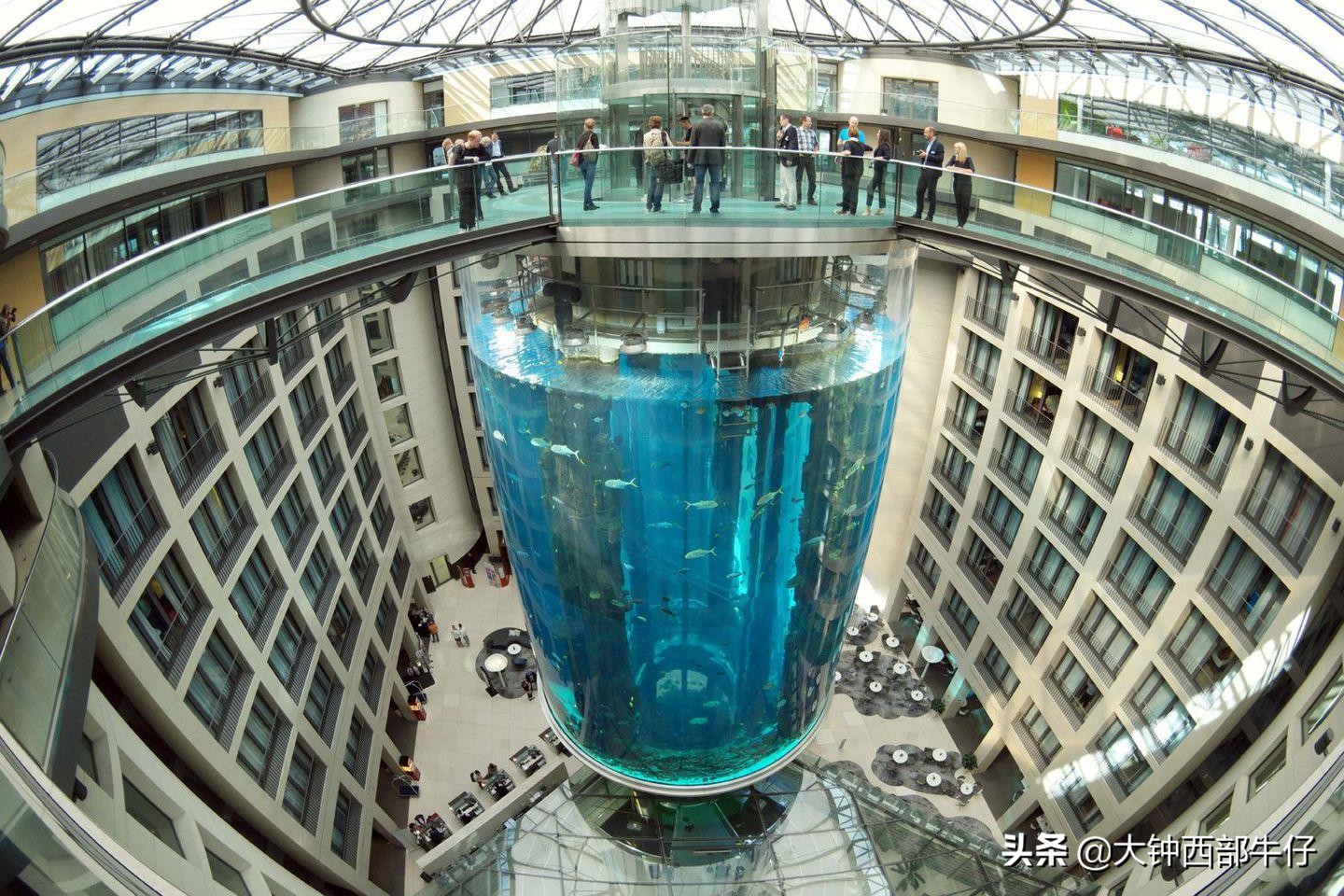 世界上最奇怪的电梯是什么电梯,全世界最快的高速电梯