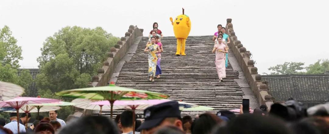 小编姐姐今天嗨翻了简直！接下来的半个月，你就交给塘栖和枇杷吧！