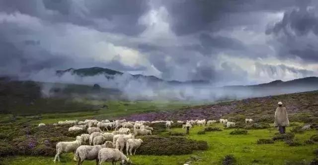 凉山州哪里可以赏花,西昌赏花攻略