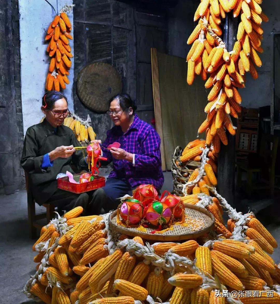 锦绣绣球花,壮乡绣球户外活动