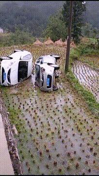 喜欢很久的小哥哥,喜欢了很久的小哥哥