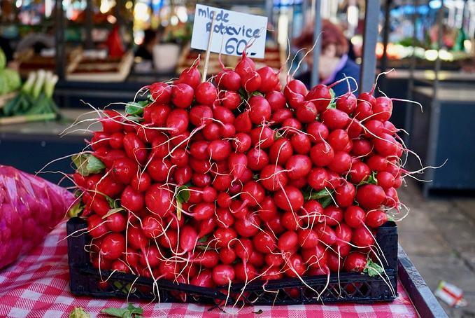 塞尔维亚五国游,塞尔维亚自由行旅游攻略最新