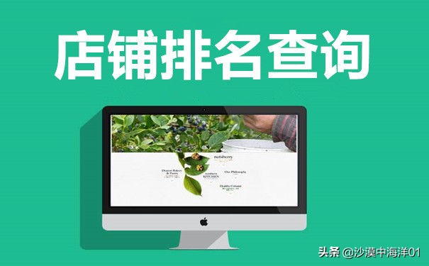 淘宝店铺女鞋排名,淘宝店铺排名