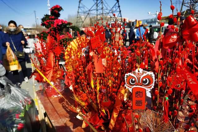 天津市中环花鸟鱼虫市场的位置,天津中环花鸟鱼虫市场现在开了吗