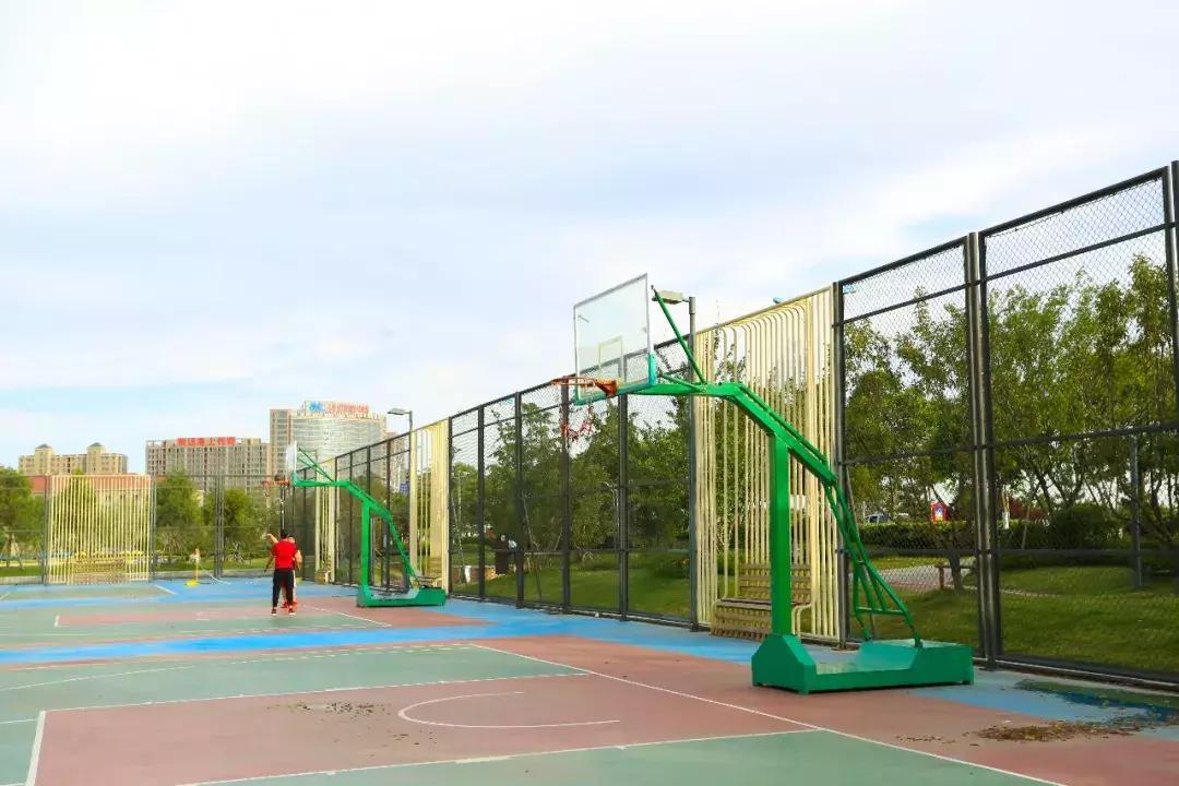 沈阳篮球约球攻略,临沂约球