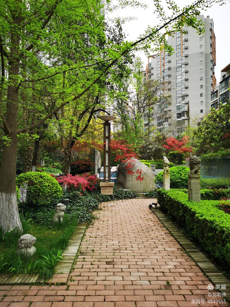 高新枫林华府住房,高新枫林华府小区评测