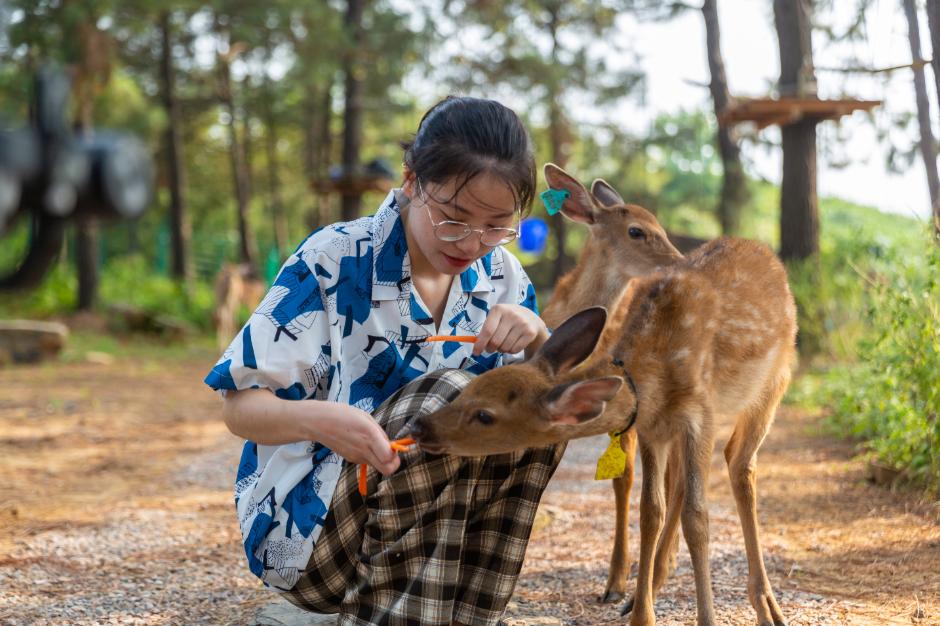 茅山遛娃,金坛茅山游乐场