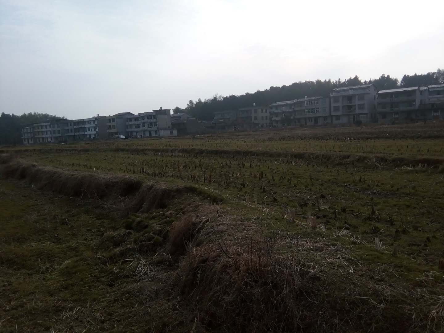 一个人同时爱上两个人,同时爱上了两个人怎么办