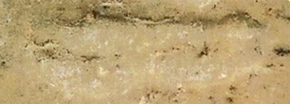 「鉴变」2494普陀耐最受欢迎的大模第二无耳线模