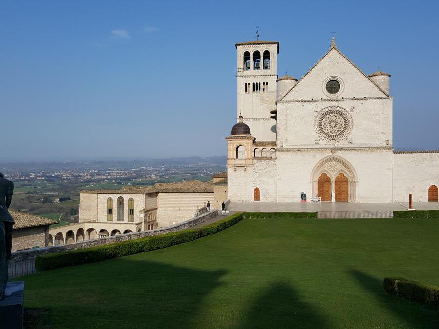 迭戈阿曼多马拉多纳,阿曼多迭戈