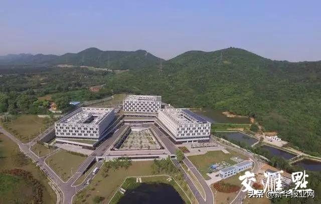 全国新型肺炎实时动态江苏,抗击新型肺炎江苏