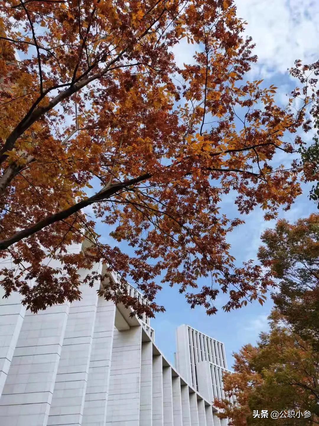 公职人员探亲假规定,军属事业人员休探亲假