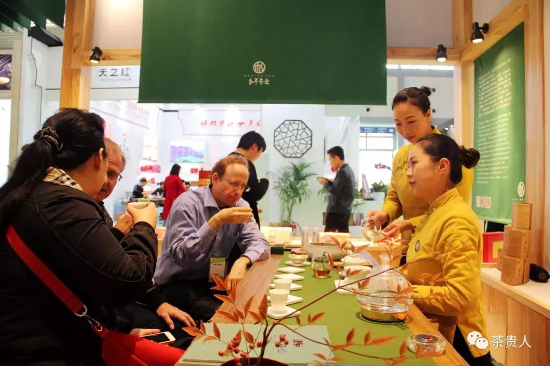 茶眼看陕西,茶眼看陕西最新视频