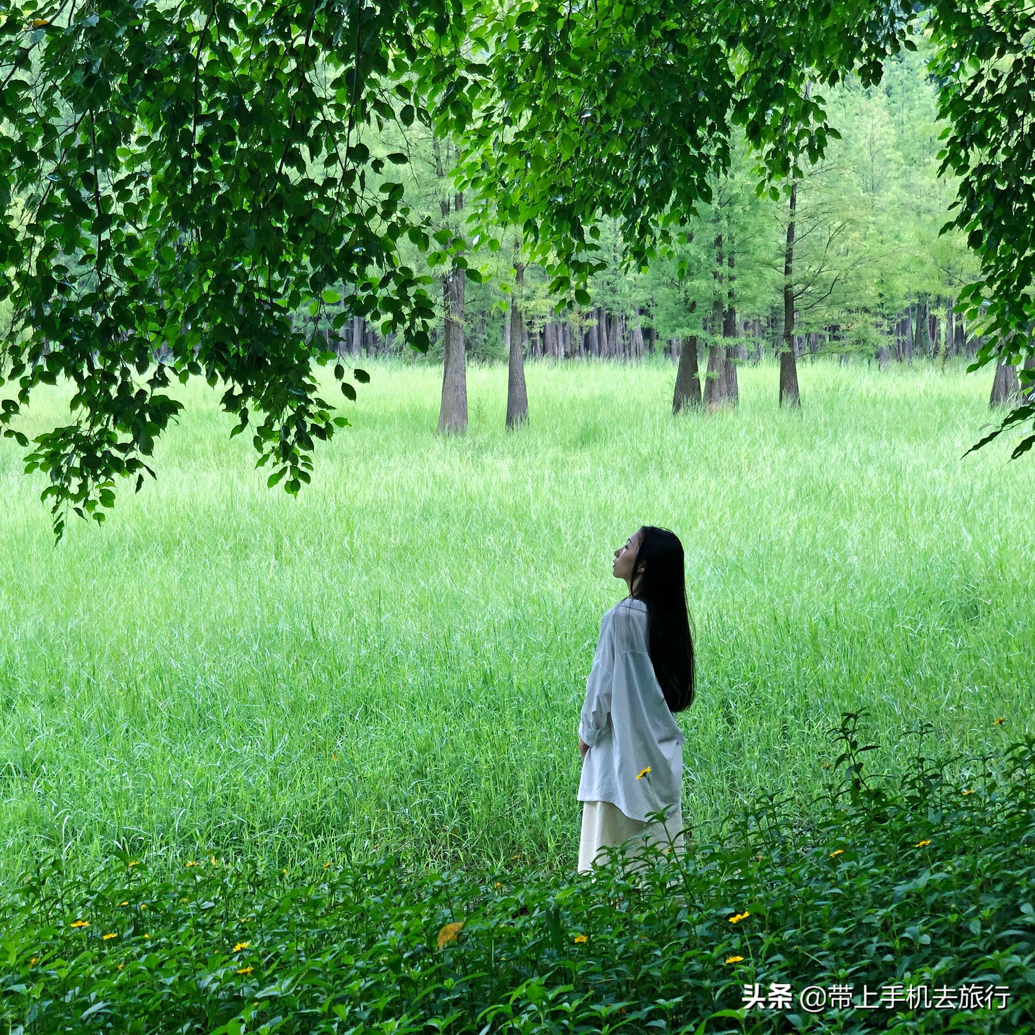 手机拍照是竖的好还是横的好,手机拍照横着和竖着的比例