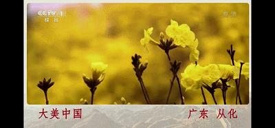 我是真的热啊,从化的天气有多冷