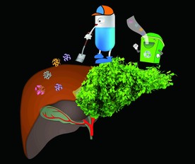 乙肝患者会找不到工作吗,乙肝患者能否去高原地区工作