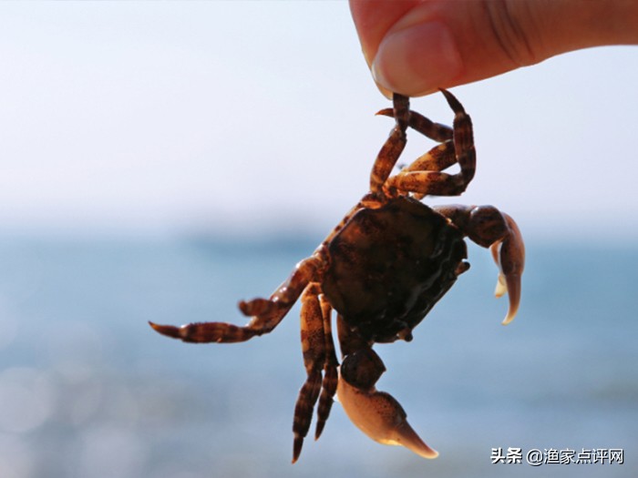 哈仙岛旅游攻略二日游,哈仙岛旅游攻略儿童