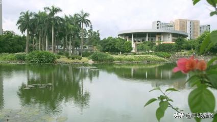 广州市天河区岭南养生谷养老院,广州颐寿养老院一览表