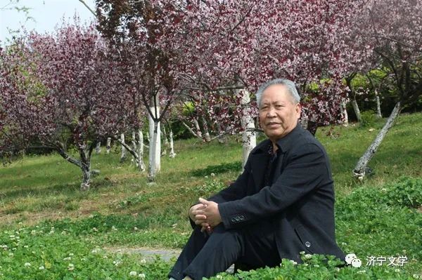 蝶恋花·浮生杂记十九部