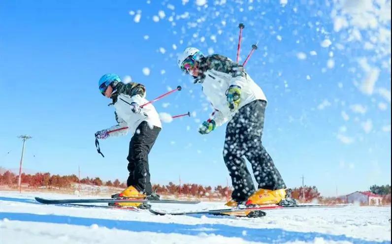 苏炳添,通辽欢迎你!吴智强,快带苏炳添回家