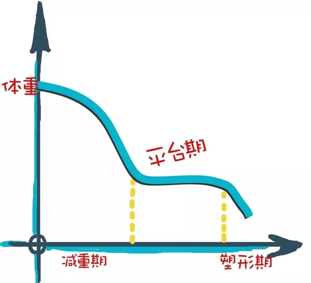 走出瘦身误区减脂才是真减肥,走出这些误区让你轻松减肥