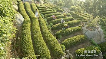 崂山宣传片,崂山仰口宣传片