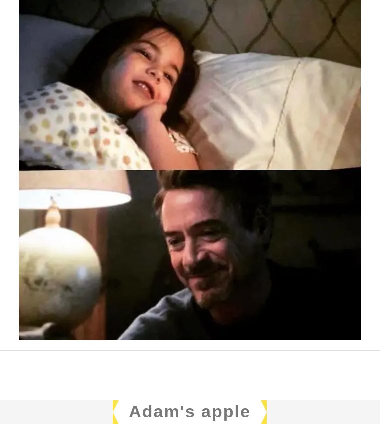 菠萝与凤梨的区别是什么,凤梨和菠萝的区别最简单的方法