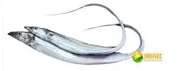 舟山海鲜攻略2天3晚吃什么,舟山海鲜代加工攻略