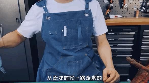 模型师消除家里蟑螂的模型,老袁如何消灭家里的蟑螂