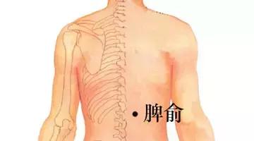 美白祛斑穴位,常按哪些穴位养生