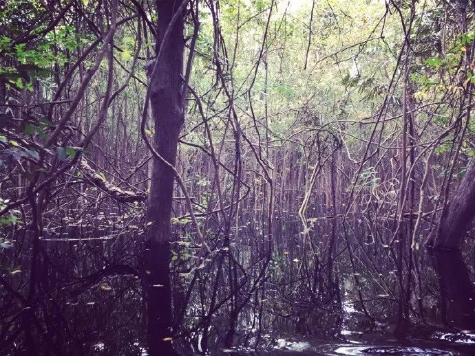 许婧为什么和陈赫离婚,许婧和陈赫为什么离婚