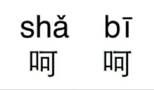 比乐原味粮狗粮测评,比乐狗粮系列