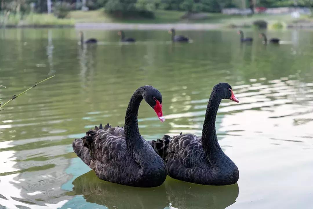 深圳大学游玩攻略一日游,深圳大学打卡攻略