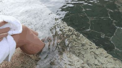 苏州乐园四季恒温水乐园预约,苏州乐园四季悦水游村