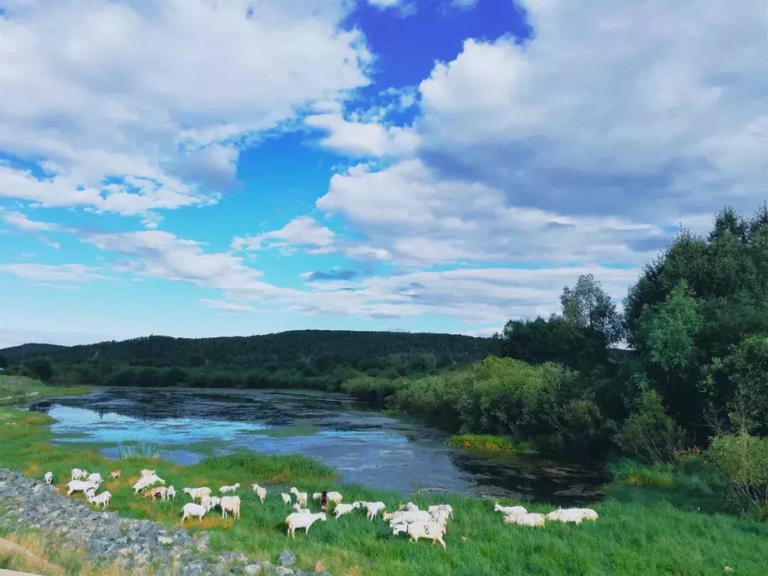 迟子建散文经典语句,迟子建散文人生感悟语句