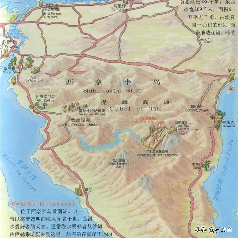 接着奏乐接着舞，汉使甘英见闻，大秦、罗马傻傻分不清楚