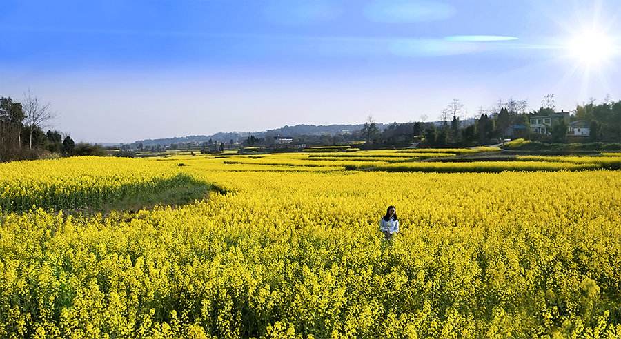 唐诗中的山水田园诗句,唐诗宋词中的田园生活