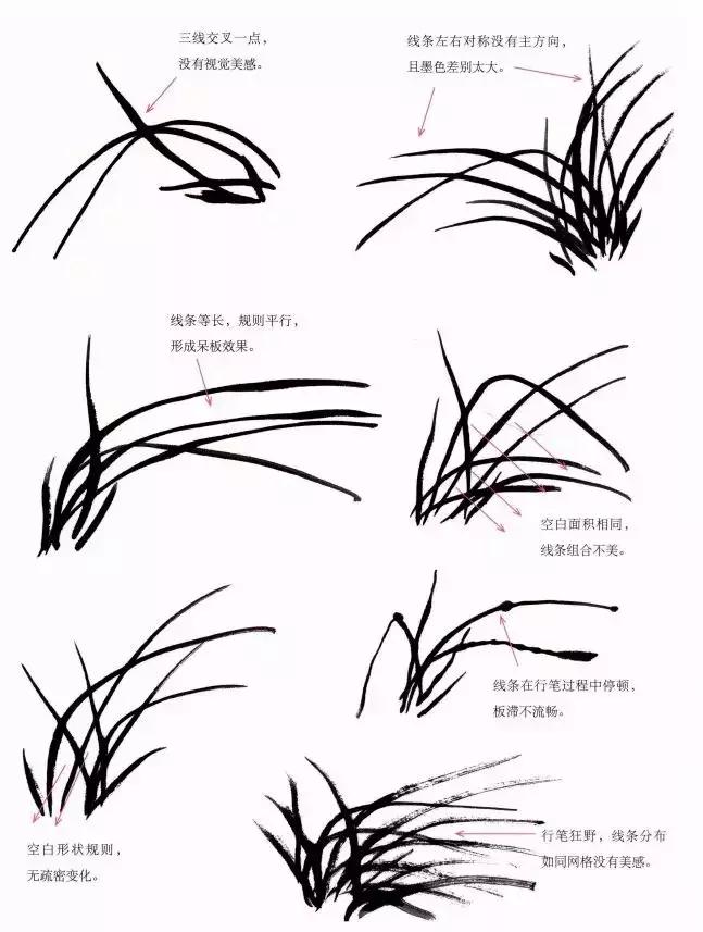 跟徐湛学国画兰草的画法,跟徐湛老师学国画全集兰草画法