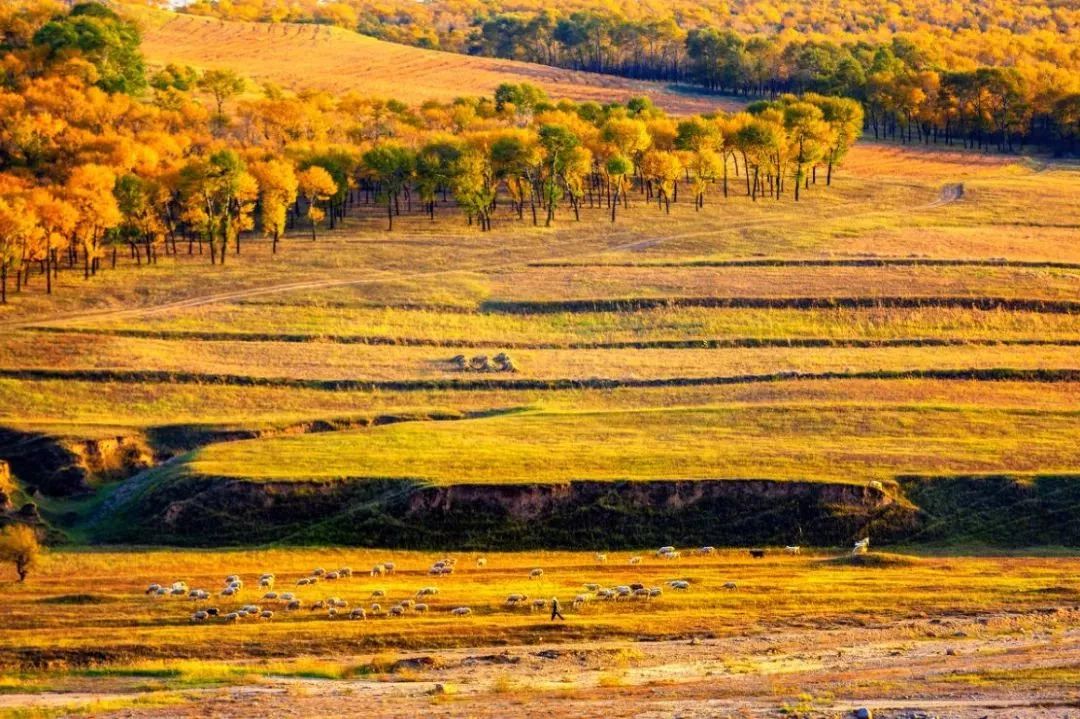 秋天最美地方,秋天全部的风景