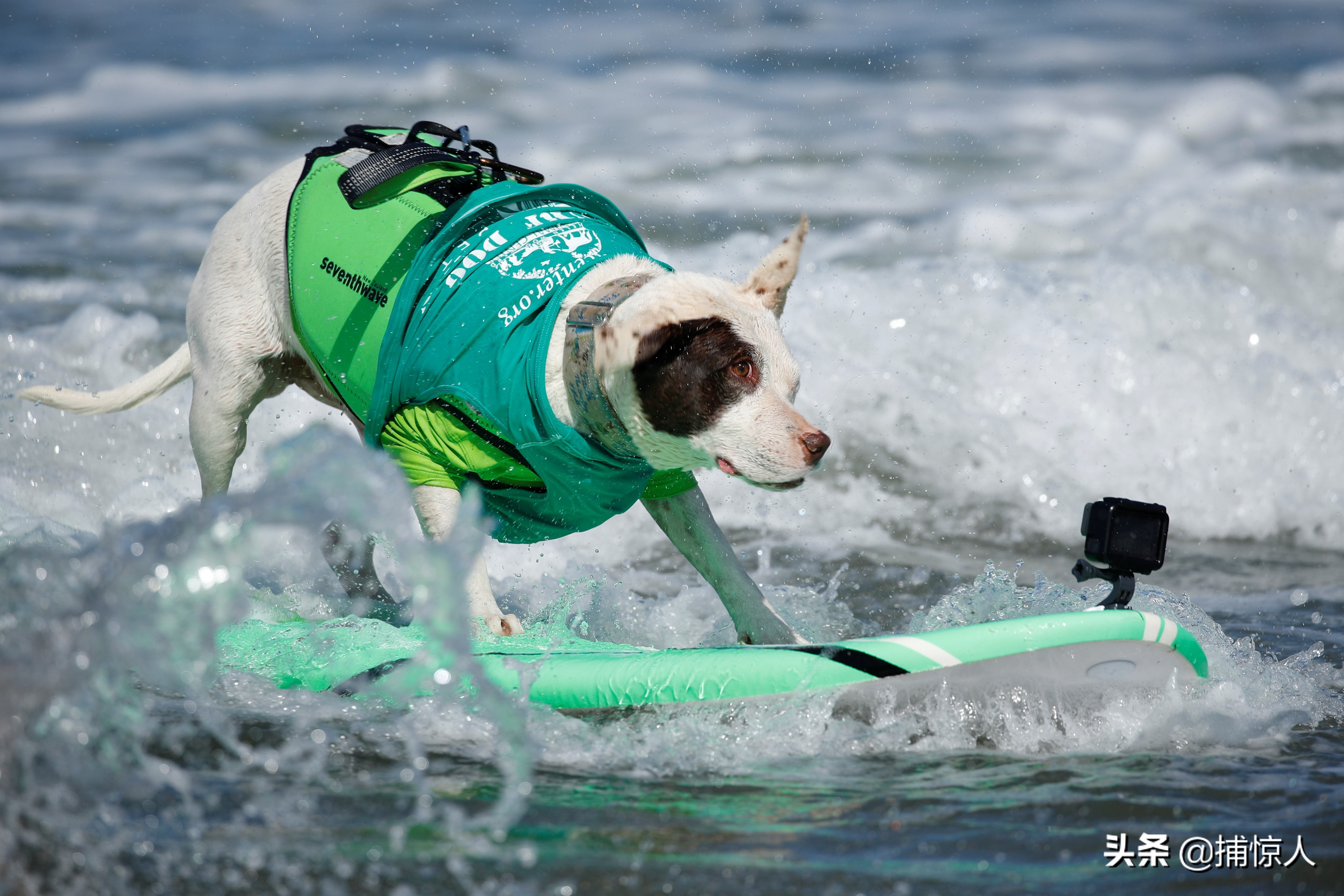 国外各种奇葩运动,国外十大奇葩运动